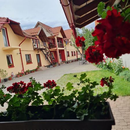 Vila Vladut Zarnesti Luaran gambar