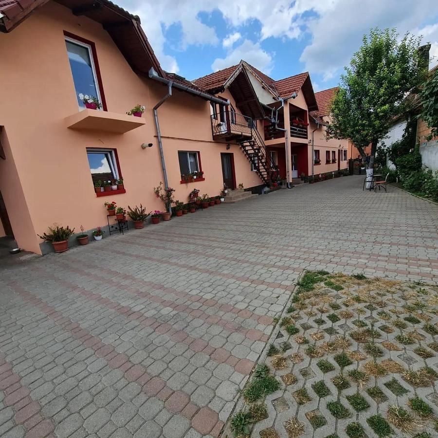 Vila Vladut Zarnesti Luaran gambar