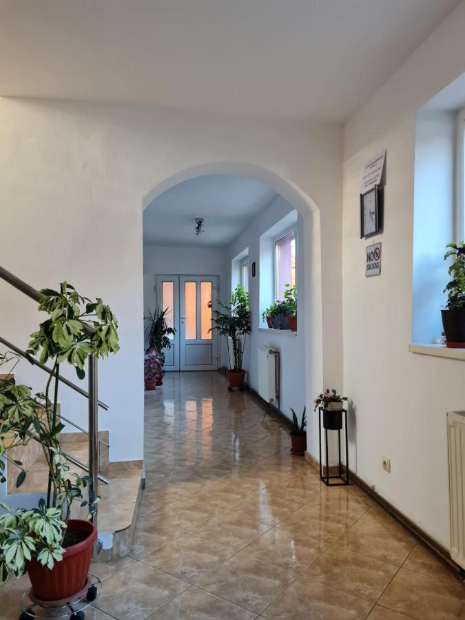 Vila Vladut Zarnesti Luaran gambar