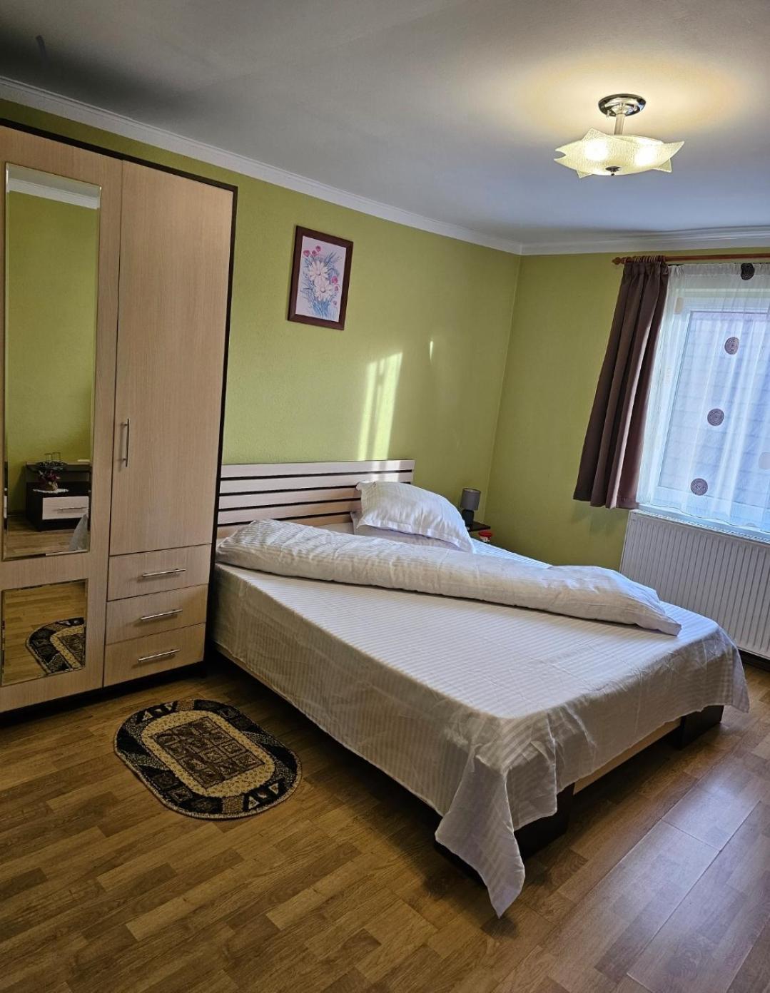 Vila Vladut Zarnesti Luaran gambar