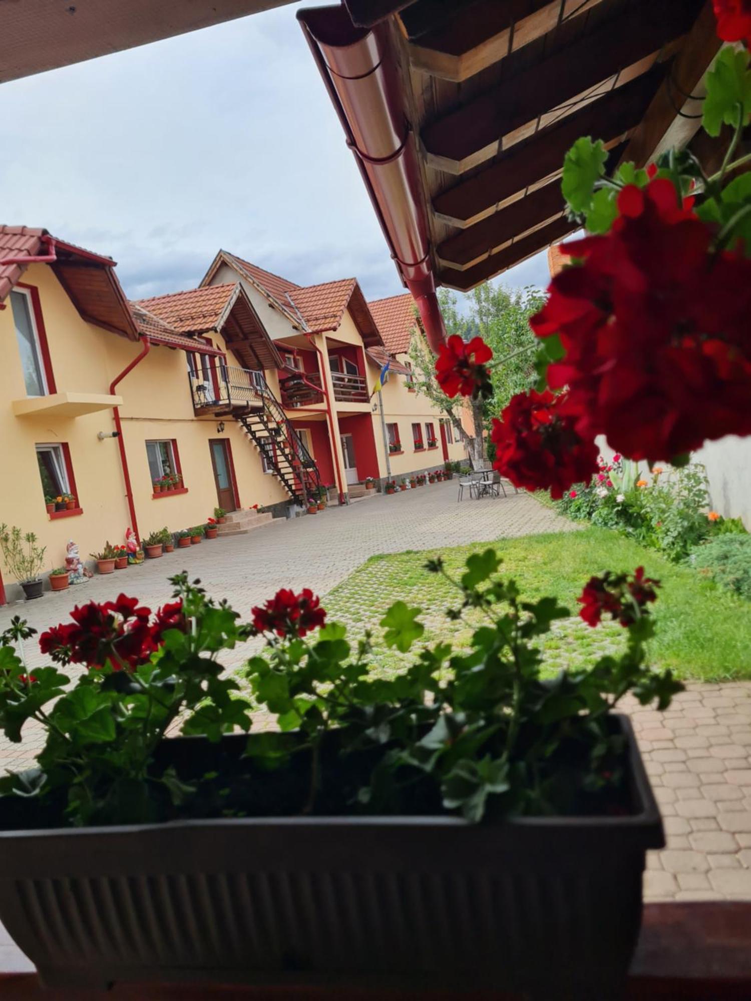 Vila Vladut Zarnesti Luaran gambar
